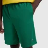 9" klassiske mesh-Shorts, C Logo