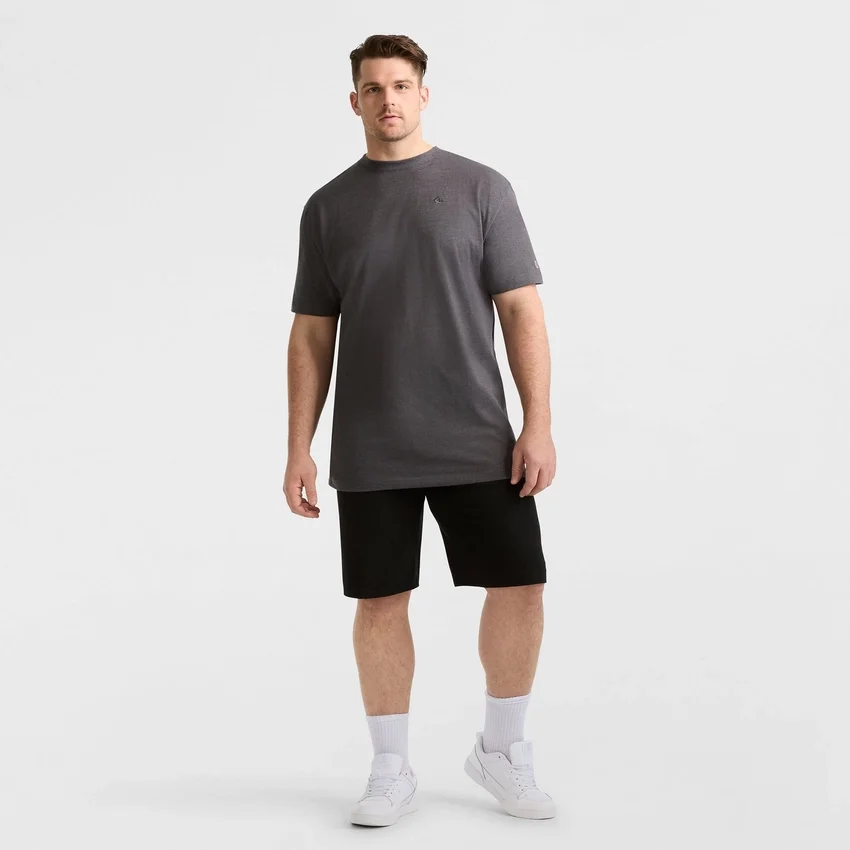 Klassisk T-skjorte, C Logo – Big & Tall