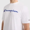 Klassisk T-skjorte med grafikk, Script Logo – Big & Tall